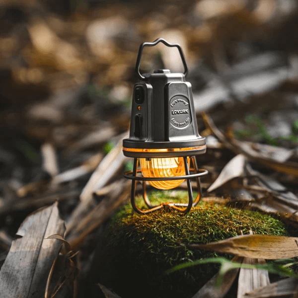 Lantern Garland Silver - Image 4