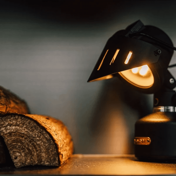 Lantern Star - Image 5